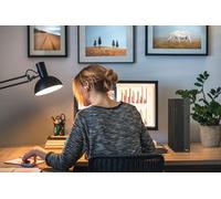 ASUS ExpertCenter P500 SFF P500SV-05210H009X・(90PF05A1-M00M50)・Intel Core 5・210H・16GB・512GB・Windows 11 Pro・64-