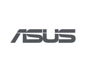 Asus Original charger/adapter