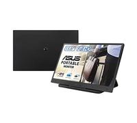 ASUS ZenScreen MB166B Full HD 39.6 cm (15.6") 1920 x 1080 pixels Black