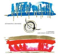 Asymmetric Universe : A Memory and What Came After VINYL 12" Album Coloured