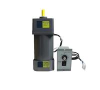 asynchronous Motor 250W 110V AC Gear Motor with Speed Regulator Adjustable Speed Single Phase High Torque Asynchronous Motor 6IK250RGN-AF(0-67RPM)