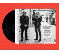 Finn,Tim - At [VINYL]