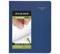 AT-A-GLANCE 2025 Planner, Monthly, 9" x 11", Large, Fashion, Blue (702502025)