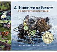 At Home with the Beaver: A Story of a Keystone Species: 2