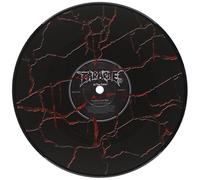 At The Gates / Decapitated - Captor Of Sin / Mandatory Suicide [VINYL]