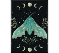Ata-Boy Episodic Drawing Luna and Moth 2.5" x 3.5" Magnet for Refrigerators and Lockers