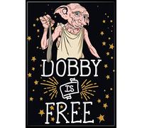Ata-Boy Harry Potter Magnet - Dobby is Free 2.5" x 3.5" Magnet for Refrigerators, Whiteboards & Locker Decorations…