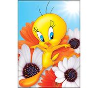 Ata-Boy Looney Tunes Tweety Bird 2.5" x 3.5" Magnet for Refrigerators and Lockers Assortment
