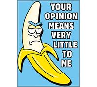 Ata-Boy Magnet - Rick and Morty Your Opinion 2.5" x 3.5" Cartoon Network Magnet for Refrigerators, Whiteboards & Locker Decorations