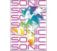 Ata-Boy Sonic Technicolor 2.5" x 3.5" Magnet