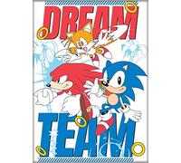 Ata-Boy Sonic The Hedgehog Magnet - Dream Team 2.5" x 3.5" Magnet for Refrigerators, Whiteboards & Locker Decorations
