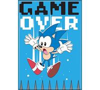Ata-Boy Sonic The Hedgehog Magnet - Game Over 2.5" x 3.5" Magnet for Refrigerators, Whiteboards & Locker Decorations