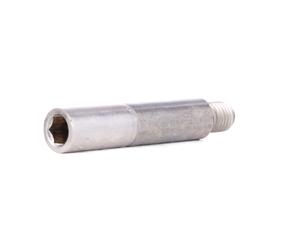 ATE 11.8171-0067.1 Brake caliper bolt