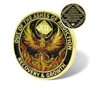 ATERECOSP Phoenix Rising Sobriety Coin, Recovery Addiction NA AA Chips and Medallions, Narcotics Anonymous Gifts for Men Women (12 Year)