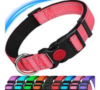 ATETEO Dog Collar, Reflective Adjustable Basic Dog Collar with Soft Neoprene Padding, Durable Nylon Pet Collars for Puppy Small Medium Dogs