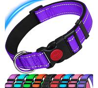 ATETEO Dog Collar,Reflective Adjustable Basic Dog Collar with Soft Neoprene Padding,Purple,Small Medium Large Dogs