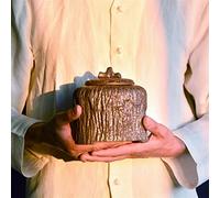 ATGQBCF Animal Urn For Dogs Cats Ashes Keepsake Memorial Box Funeral Set Burial Urns For Cremated Remains Ash Vial Adult Funeral Urn Pet Cat And Dog Urn 83565 Pets Memorials