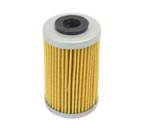 Athena Beta Rr 250 4t 05-09 Oil Filter