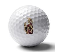 Athena Goddess of Wisdom Custom Golf Ball Soft Practice Golf Balls Performance Distance And Speed for Indoor Outdoor