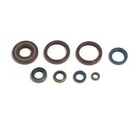 Athena P400220400252 Engine Oil Seal