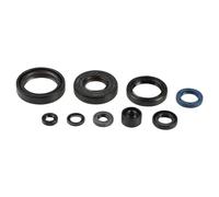 Athena P400250400137 Engine Oil Seal