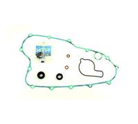 Athena Parts P400210475009 Black Water Pump Gasket Kit with Bearings