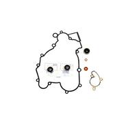 Athena Parts P400270475003 Black Water Pump Gasket Kit with Bearings
