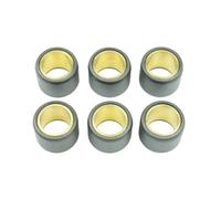 Athena S.p.A. Variator Rollers 23x18mm 23gr - Set of 6
