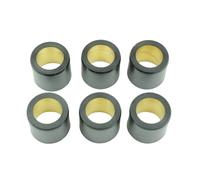 Athena S.p.A. Variator Rollers 25x22,2mm 30gr - Set of 6