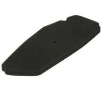 ATHENA S410480200001 Air filter
