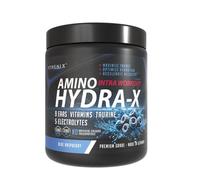 Athenix® Amino Hydra-X Intra-Workout | Blue Raspberry | 9 EAAs + 5 Electrolytes + Vitamins & Taurine | Vegan BCAA + Hydration Powder | 26 Servings | Zero Sugar & Fat | 365g