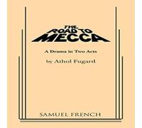 Athol Fugard The Road to Mecca Paperback Book Athol Fugard Multicolor