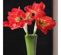 AtHomeYuyue 21.5"" Artificial Amaryllis Bouquet Red Artificial Silk Flowers Faux Belladonna Lily for Home Office Hotel Decoration Wedding Centerpiece Bouquet(3PCS,Red)