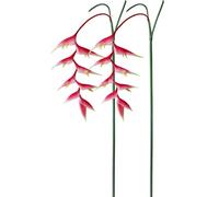 AtHomeYuyue 35" Artificial Heliconia 2pcs Pink Faux Bird of Paradise Fake Tropical Flowers for Vase Bouquets Home Office Wedding Decor(Pink)