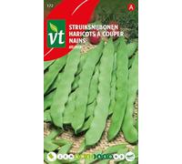 Atlanta Beans Seeds per gram - Large, excellent tasting, stringless pods - 50 g - Seeds per gram: 2