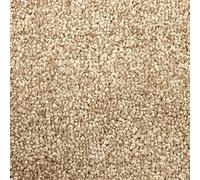 Atlantic Bathroom Carpet Waffle Gel Back 2m Wide £28m² (Fudge Gold, Sample 415 21cm x 29xm)