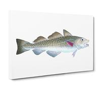 Atlantic Cod Fish By Edward Donovan Canvas Print | Gallery Wrapped 30mm Frame Wall Art | 24x16 inches | Ready to Hang | Retro Animals Picture | Living Room Bedroom Lounge Office