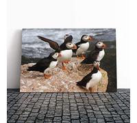 Atlantic Puffin Birds Canvas Print | Gallery Wrapped 30mm Frame Wall Art | 24x16 inches | Ready to Hang | Modern Bird Picture | Living Room Bedroom Lounge Office