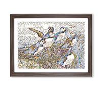 Atlantic Puffin Birds Modern BG Framed Print | A3 Walnut Framed Wall Art | Ready to Hang | Modern Nature Picture | Living Room Bedroom Lounge Office
