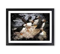 Atlantic Puffin Birds Modern CB Framed Print | A4 Black Framed Wall Art | Ready to Hang | Modern Nature Picture | Living Room Bedroom Lounge Office