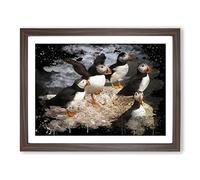 Atlantic Puffin Birds Modern CB Framed Print | A4 Walnut Framed Wall Art | Ready to Hang | Modern Nature Picture | Living Room Bedroom Lounge Office