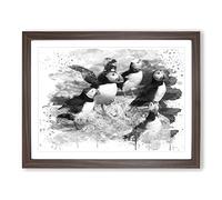 Atlantic Puffin Birds V4 Modern Framed Print | A3 Walnut Framed Wall Art | Ready to Hang | Modern Nature Picture | Living Room Bedroom Lounge Office