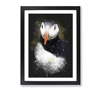 Atlantic Puffin Birds Vol.2 Paint Splash Modern Framed Wall Art Print, Ready to Hang Picture for Living Room Bedroom Home Office Décor, Black A2 (64 x 46 cm)