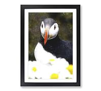 Atlantic Puffin Birds Vol.2 Painting Framed Print | A2 Black Framed Wall Art | Ready to Hang | Modern Historical Picture | Living Room Bedroom Lounge Office