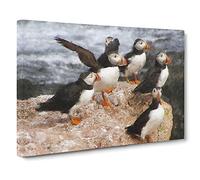 Atlantic Puffin Birds Vol.3 Canvas Print | Gallery Wrapped 30mm Frame Wall Art | 30x20 inches | Ready to Hang | Modern Bird Picture | Living Room Bedroom Lounge Office