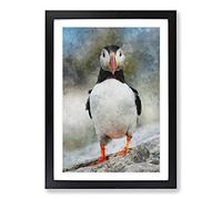 Atlantic Puffin Birds Vol.6 Painting Framed Print | A2 Black Framed Wall Art | Ready to Hang | Modern Historical Picture | Living Room Bedroom Lounge Office