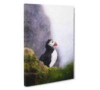 Atlantic Puffin Birds Vol.7 Canvas Print | Gallery Wrapped 30mm Frame Wall Art | 30x20 inches | Ready to Hang | Modern Bird Picture | Living Room Bedroom Lounge Office
