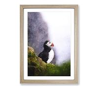 Atlantic Puffin Birds Vol.7 Painting Framed Print | A2 Oak Framed Wall Art | Ready to Hang | Modern Historical Picture | Living Room Bedroom Lounge Office