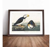 Atlantic Puffins by John James Audubon Framed Wall Art Picture Print - Canvas Painting - Modern Home Décor Poster - Ready to Hang for Living Room Bedroom Kitchen - Walnut A4 (27 x 36 cm)