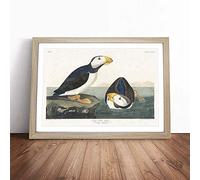 Atlantic Puffins by John James Audubon | Framed Wall Art Print | Modern Home Decor Picture | Ready to Hang Artwork for Living Room, Bedroom, Kitchen or Office | Multiple Sizes